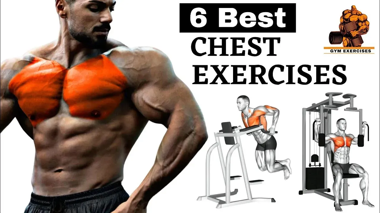 Building Your Routine with These 6 Chest Workouts