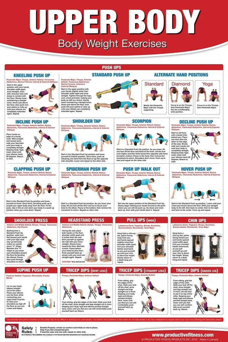 Essential Bodyweight Exercises for Chest and Shoulders