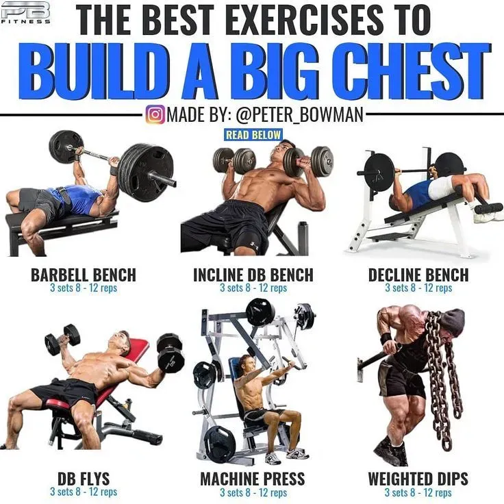 Essential Exercises for Your At Home Chest Workout with Bench