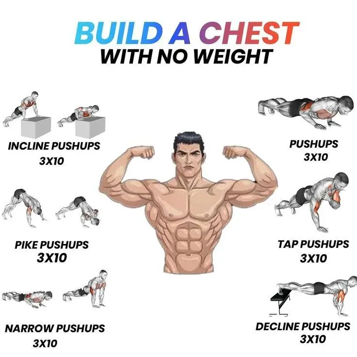 Essential Exercises for Your Chest Workout at Home Without Equipment for Beginners