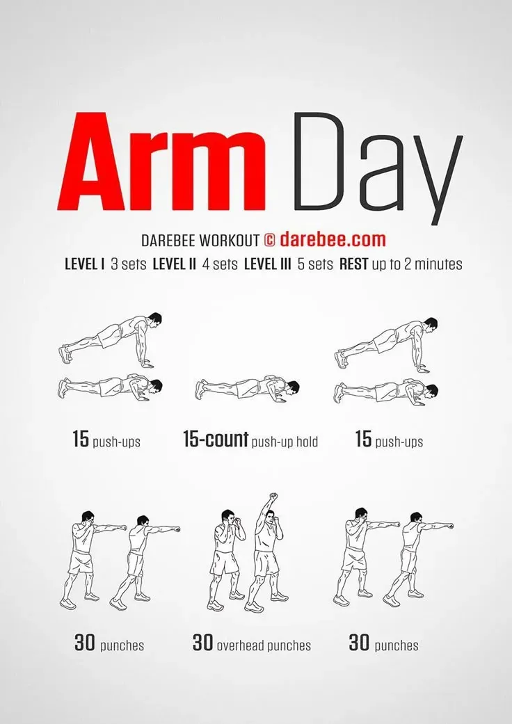 Essential Moves for Your At Home Chest and Arm Workout
