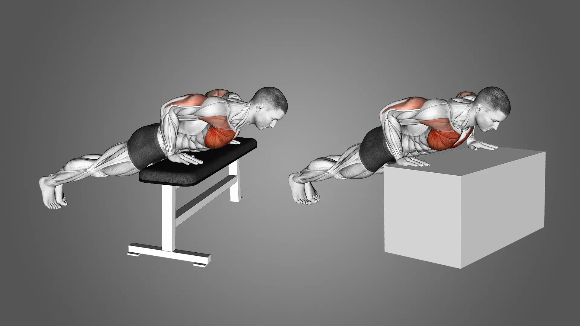 FAQs About Lower Chest Push Ups At Home