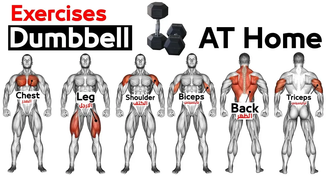 Mastering Form: Getting the Most from Your Biceps and Chest Workout at Home with 2 Dumbbells