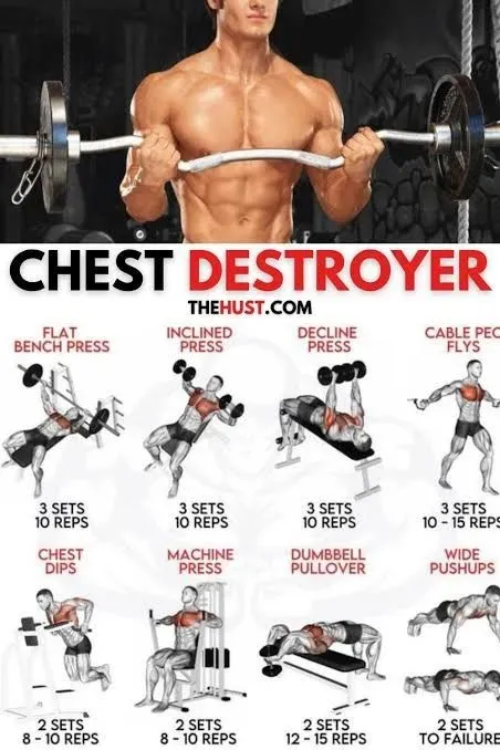 MustHave Equipment for Your Home Chest Gains