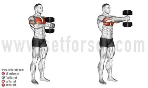 Quick & Effective standing chest workout at home Guide
