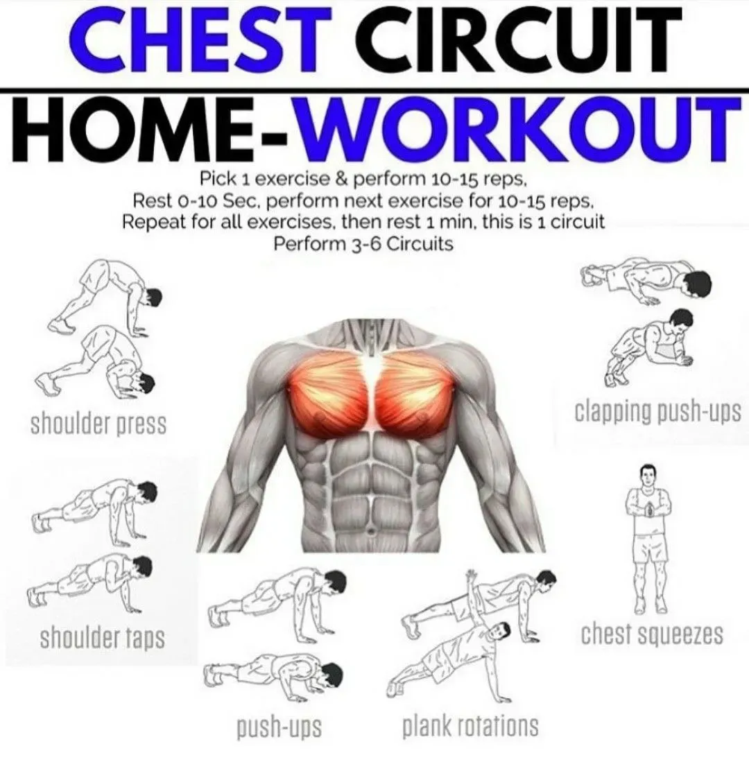 Structuring Your At Home Workout Plan to Lose Chest Fat