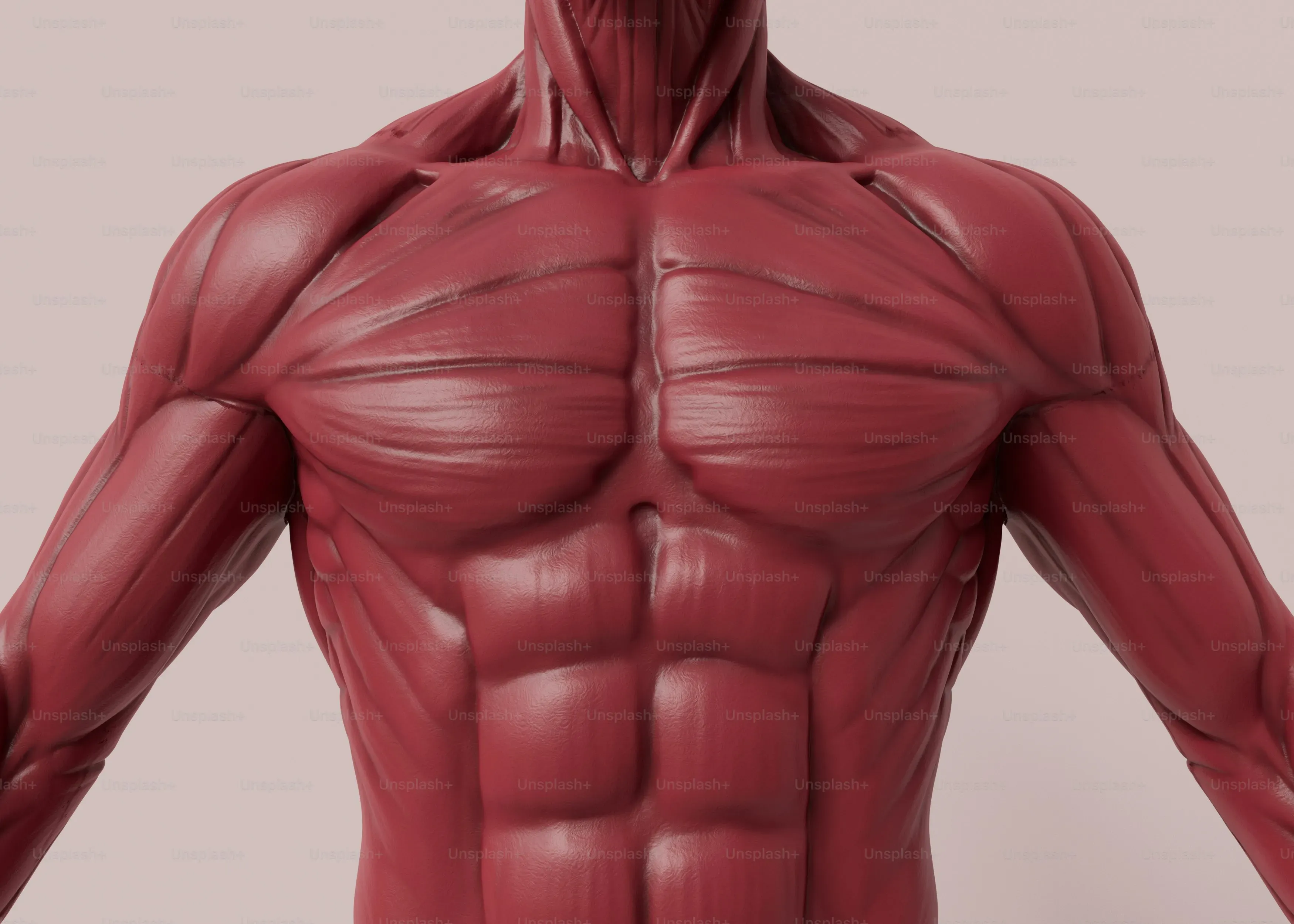 Structuring Your Inner Chest Line Workout at Home Routine