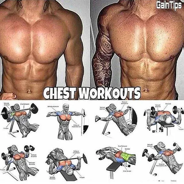 Sustaining Your Insane Chest Workout at Home Progress