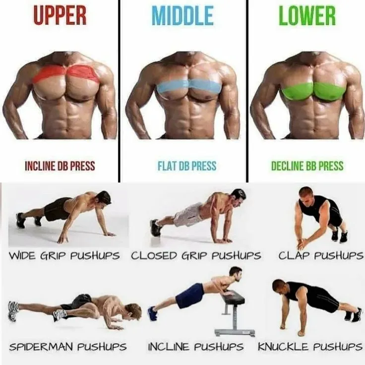 Targeting Your Pecs: Essential Push Up Variations for a Killer Chest Workout at Home