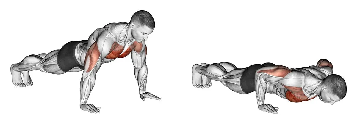 Top Lower Chest Workout At Home Push Ups