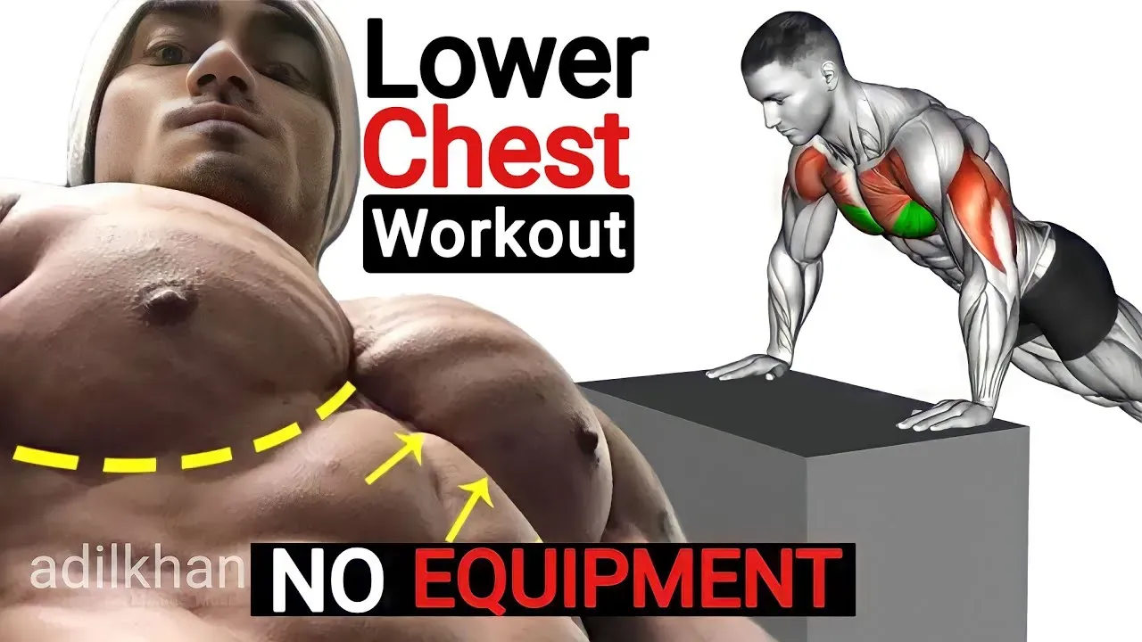 Understanding Lower Chest Activation Without Weights