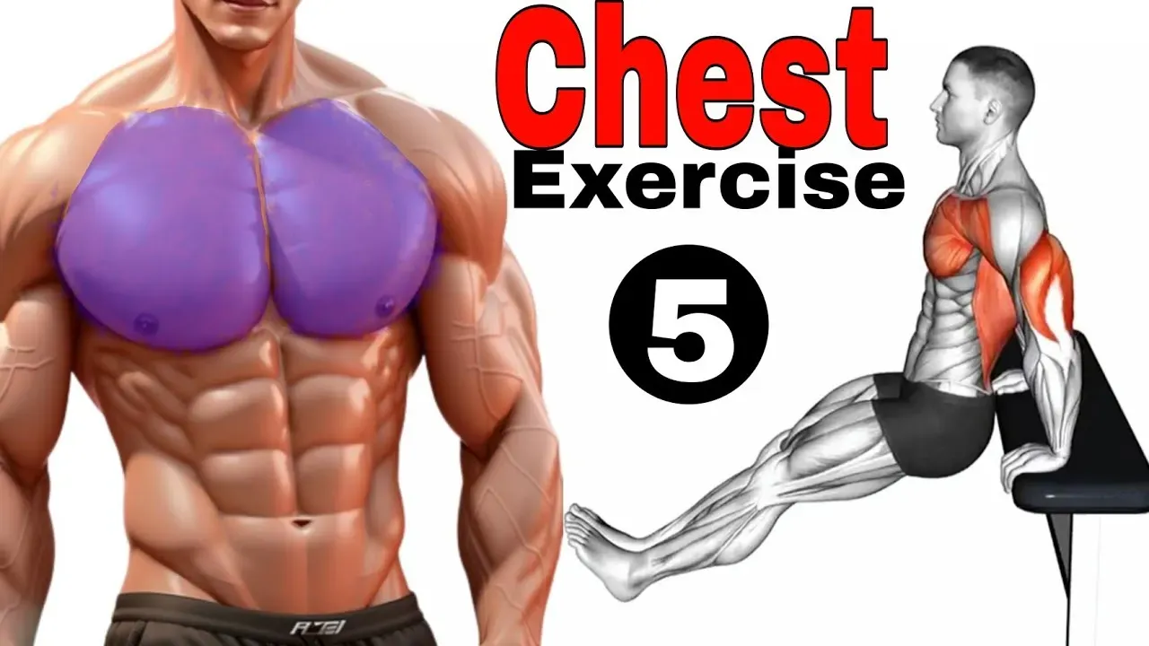 Understanding Your Pecs: The Target Muscles