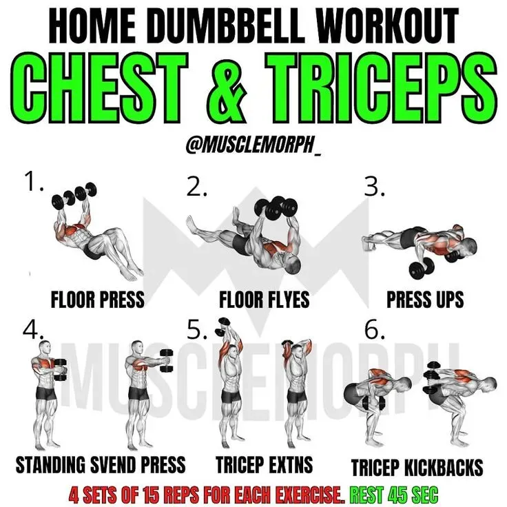 Why an At Home Chest and Tricep Workout with Dumbbells?