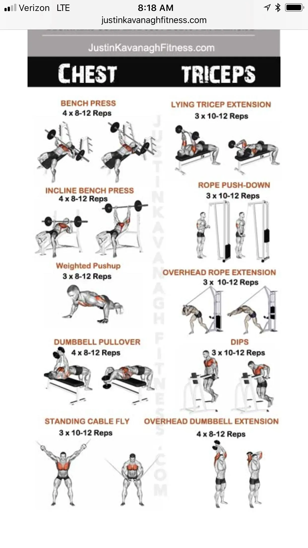 Your Ultimate Chest and Tricep Workout at Home